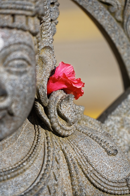 Belur-Temple de Shiva-112